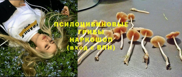 соль курить ск Арсеньев