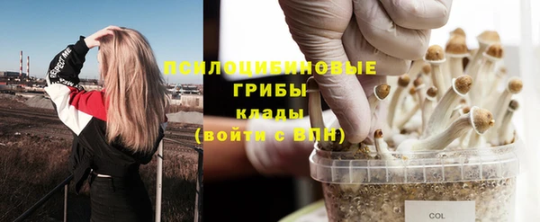 соль курить ск Арсеньев