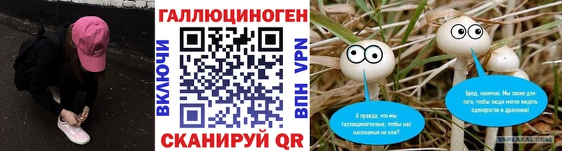 где найти   Калязин  блэк спрут ONION  Псилоцибиновые грибы Psilocybine cubensis 